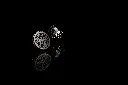 SM 50-21 duo-2d218dfe.webp