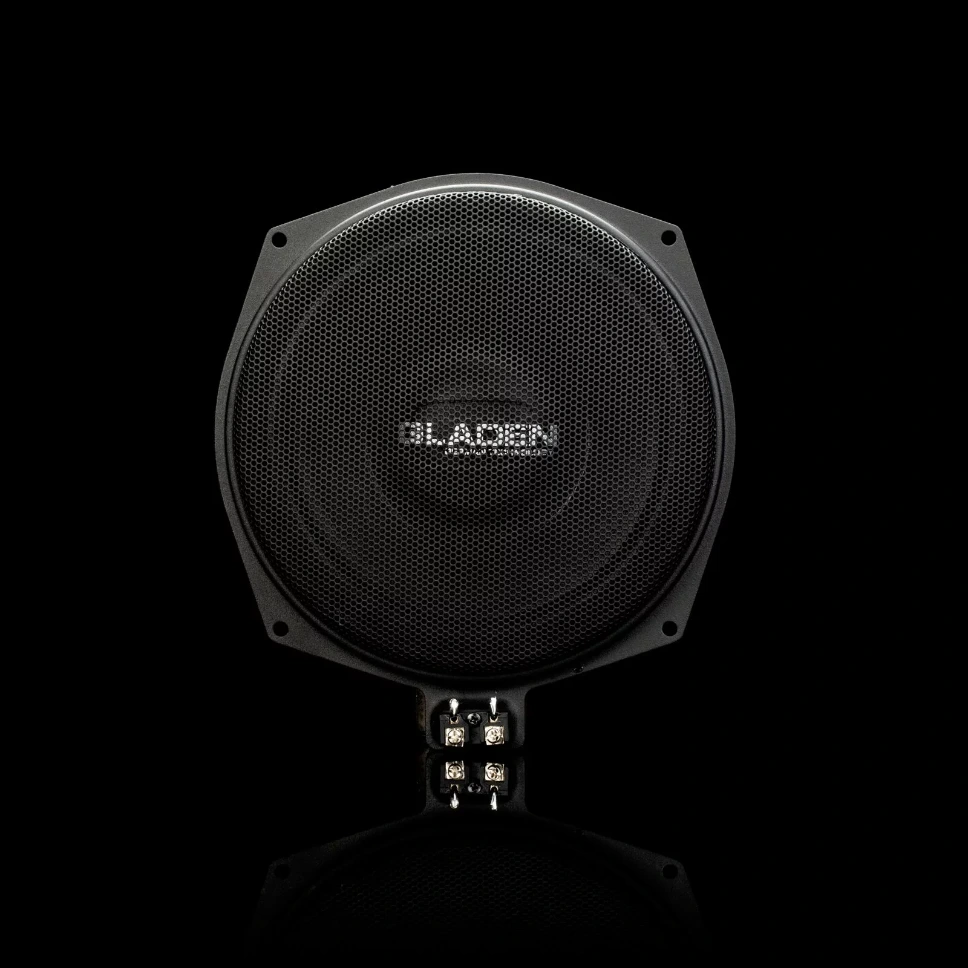 [689] Woofer BMW Gladen GA-202BMW